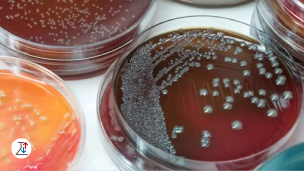 انواع تست های دمایی میکروب شناسی